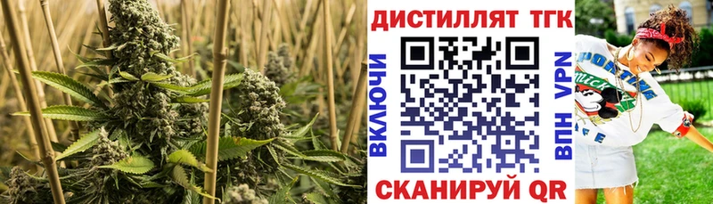 Дистиллят ТГК жижа  Пущино 