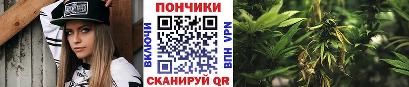 МАРИХУАНА семена купить сайты darknet телеграм Пущино кракен рабочий сайт